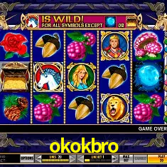 okokbro Belo Horizonte - Reivindique Bonus